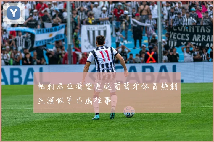 帕利尼亚渴望重返葡萄牙体育热刺生涯似乎已成往事